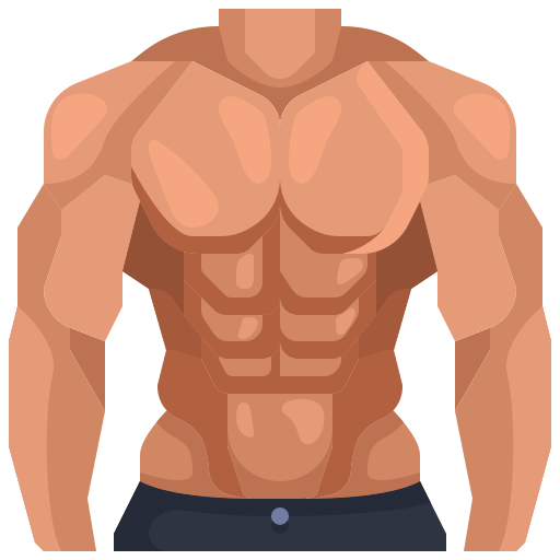 torso with strong abdominals